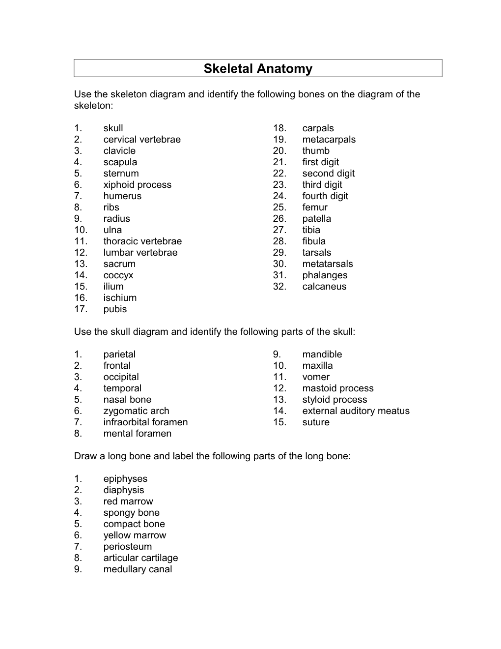 Skeletal Anatomy