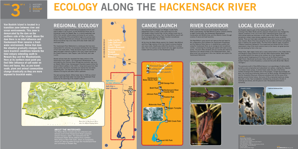 Ecology Along the Hackensack River