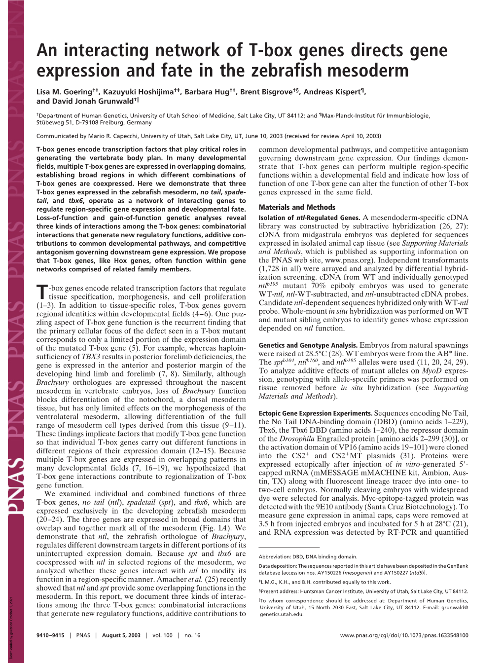 An Interacting Network of T-Box Genes Directs Gene Expression and Fate in the Zebrafish Mesoderm