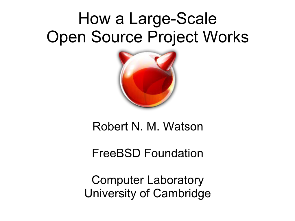 How a Large-Scale Open Source Project Works