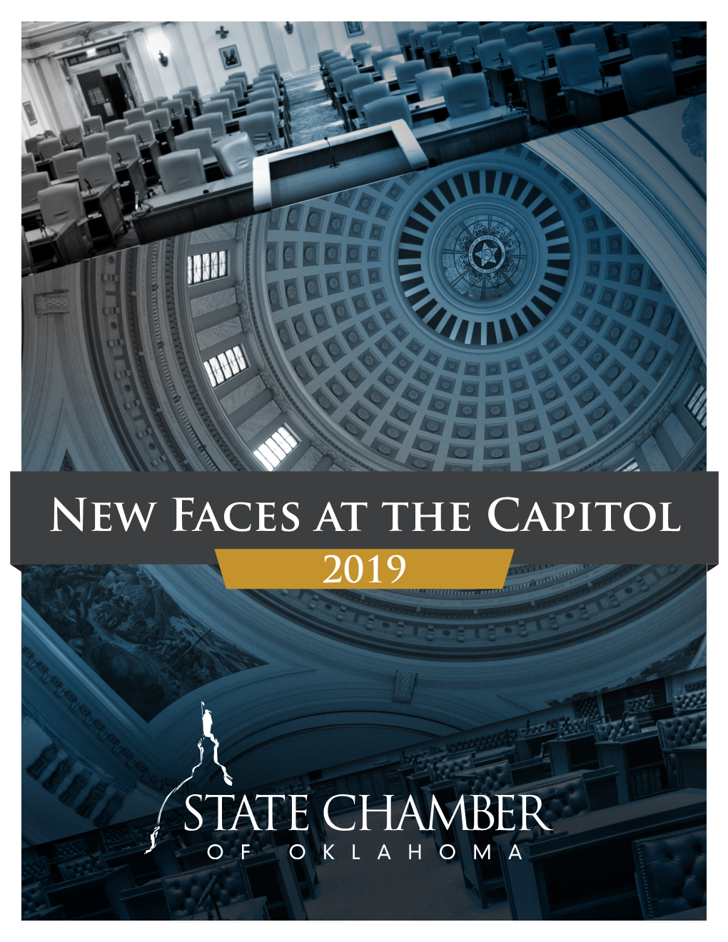 New Faces at the Capitol 2019 Table of Contents