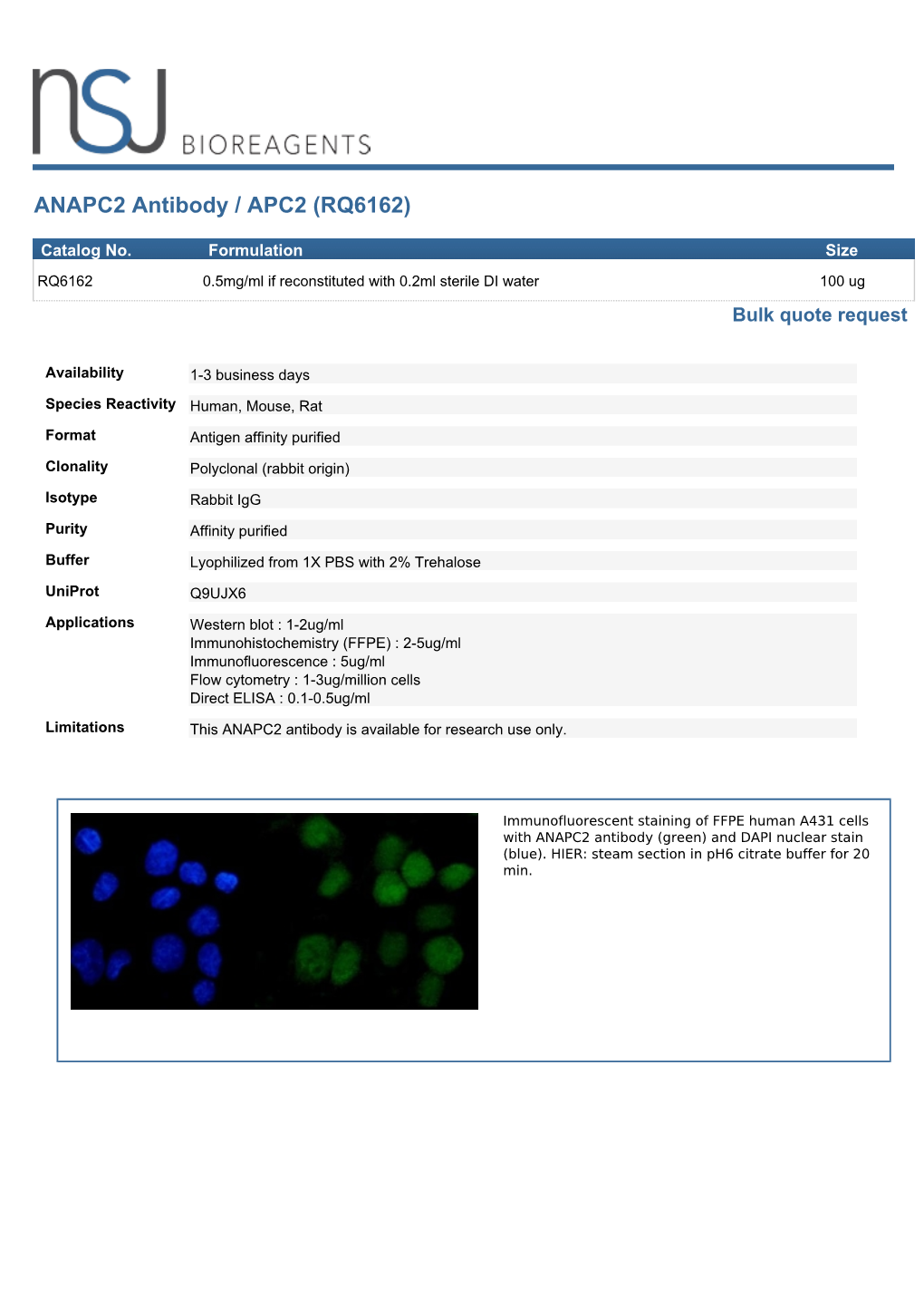 ANAPC2 Antibody / APC2 (RQ6162)