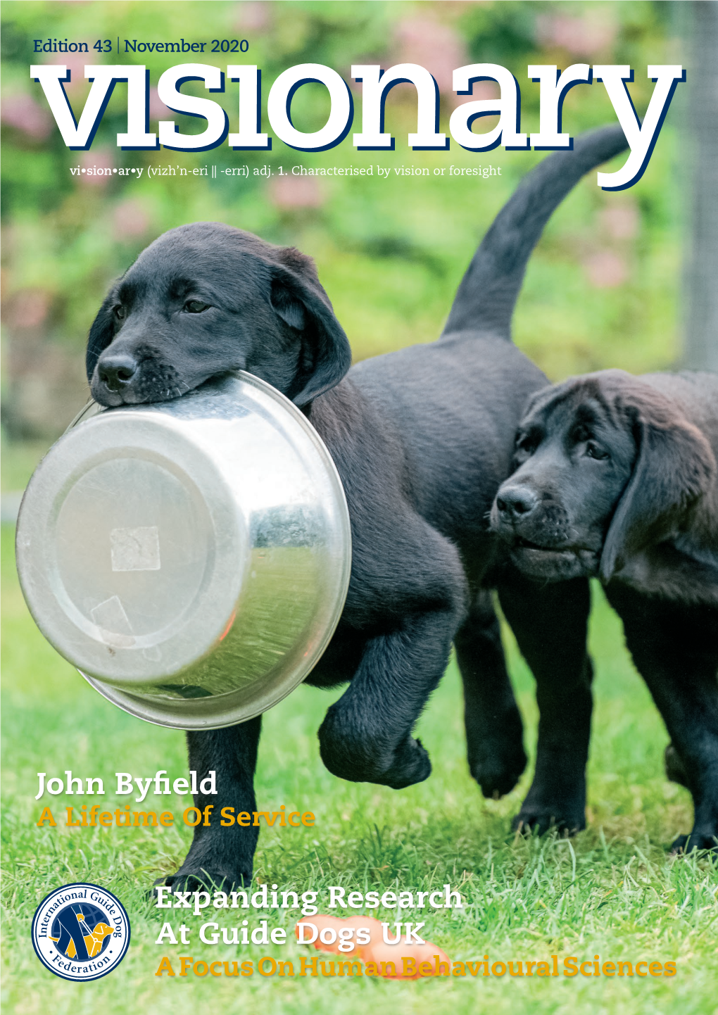 Expanding Research at Guide Dogs UK John Byfield