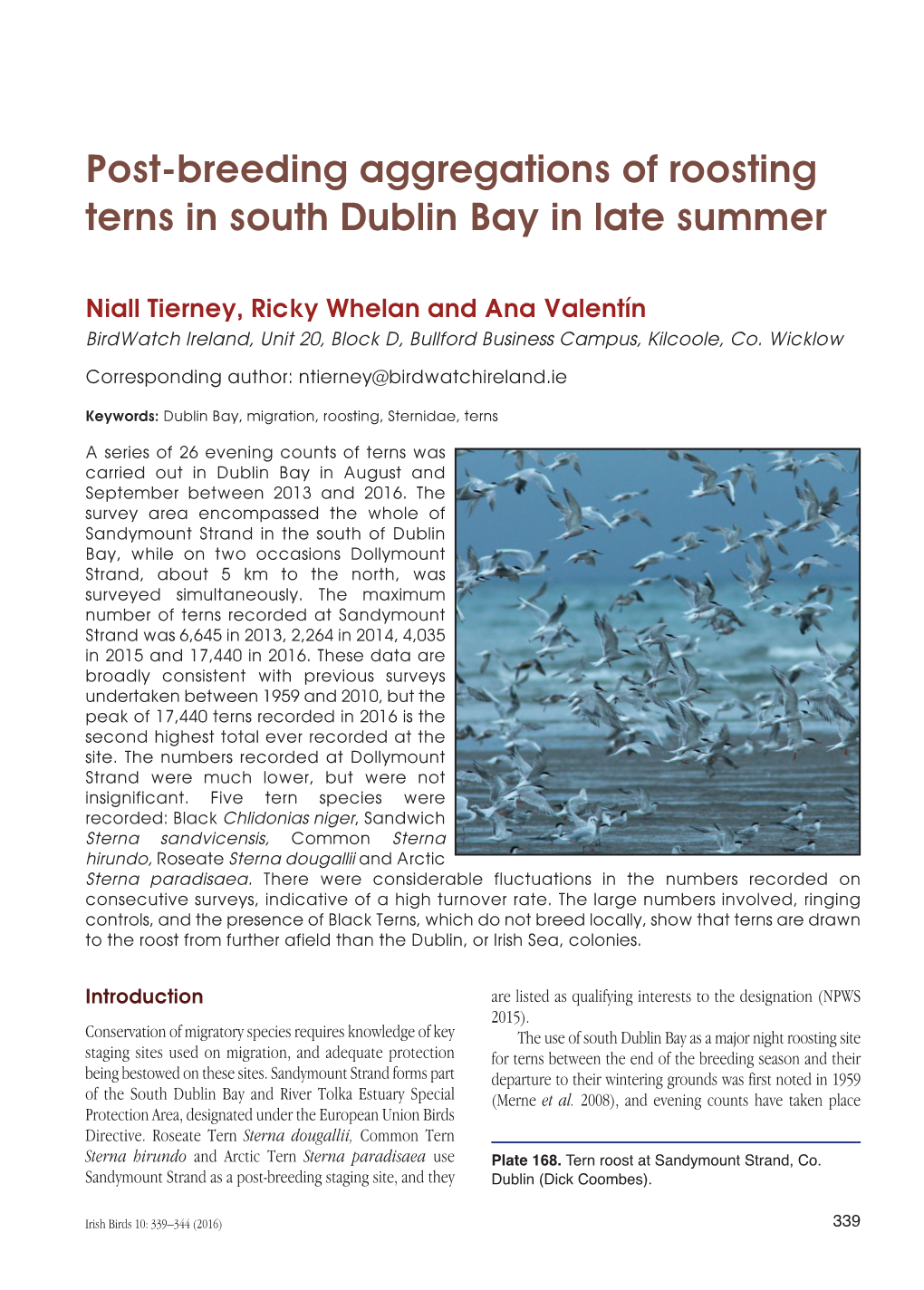 Post-Breeding Aggregations of Roosting Terns in South Dublin Bay in Late Summer