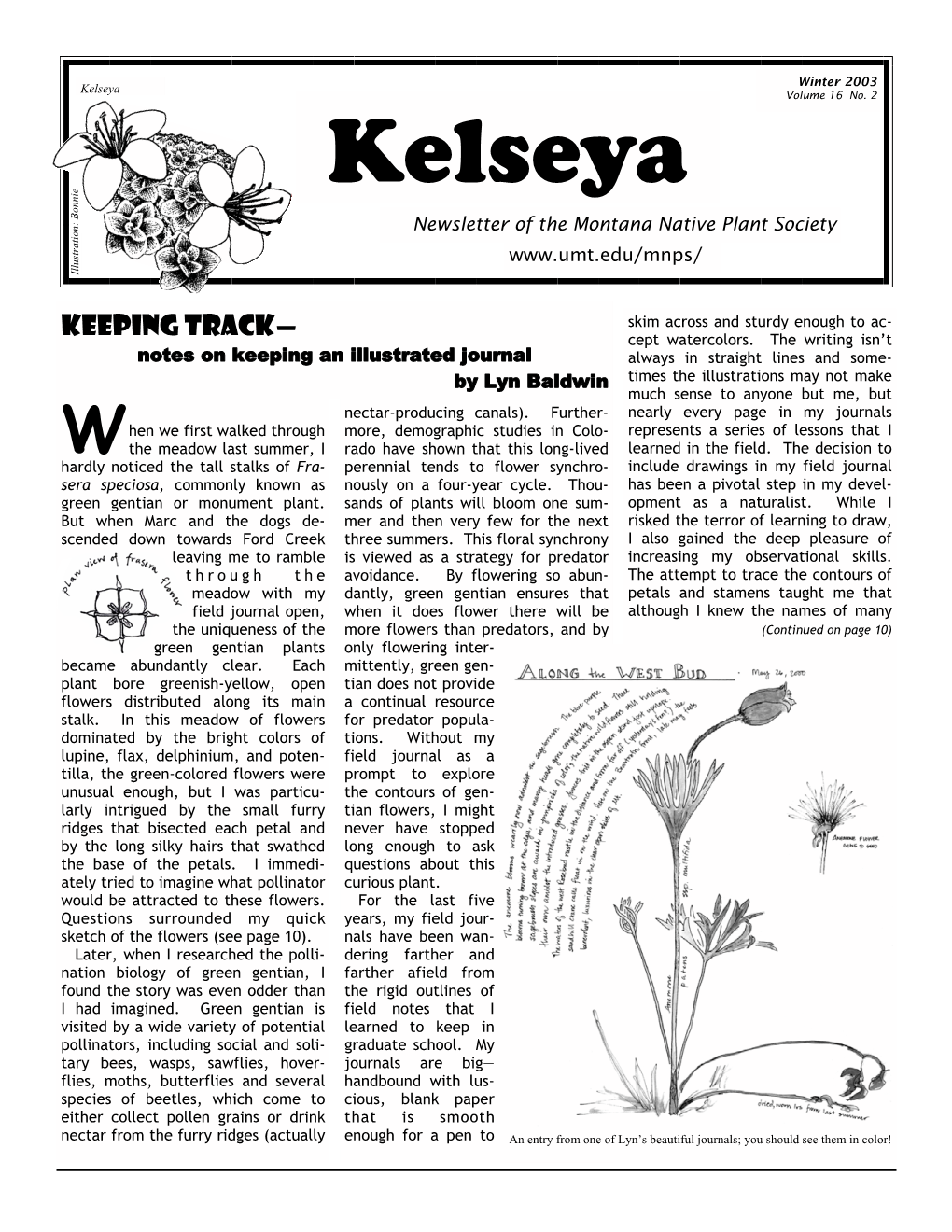 Winter 2003 Kelseya