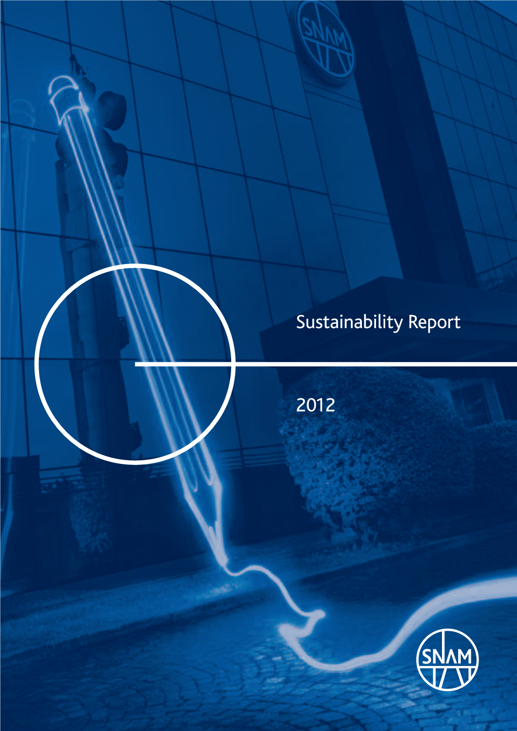 Sustainability Report 2012 /Message from the CEO