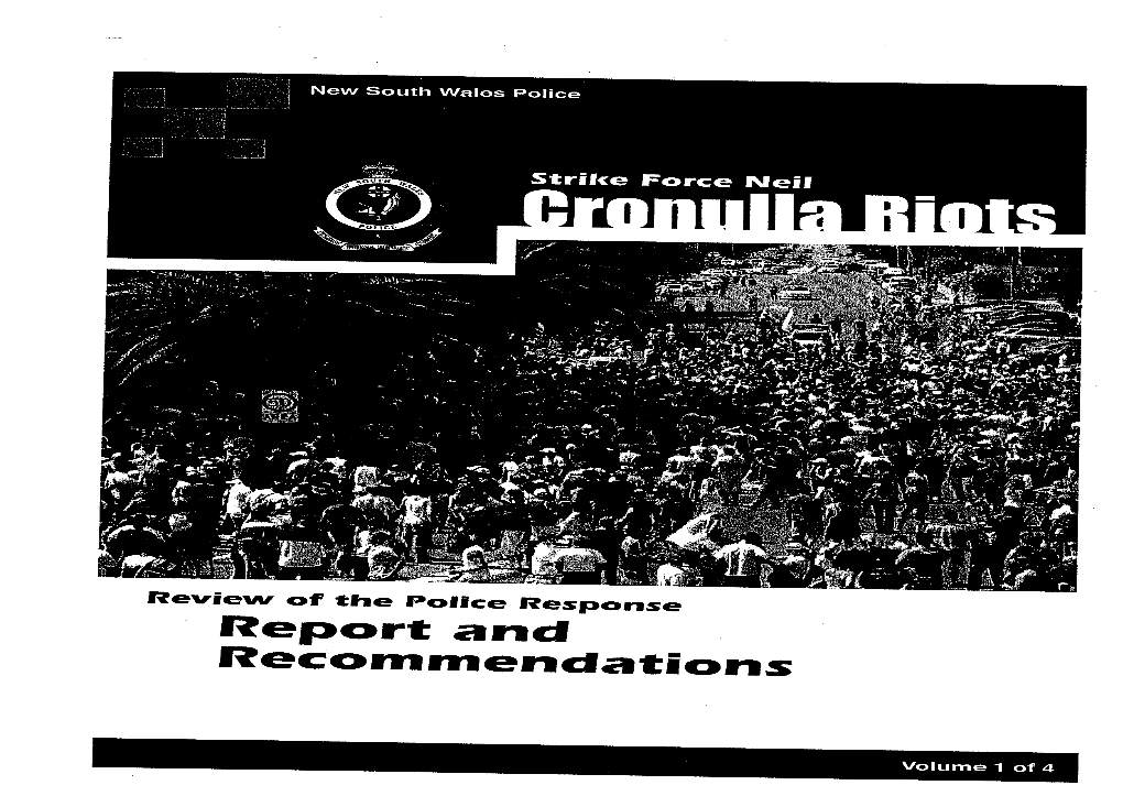Strike Force Neil, Cronulla Riots, Review of the Police Response