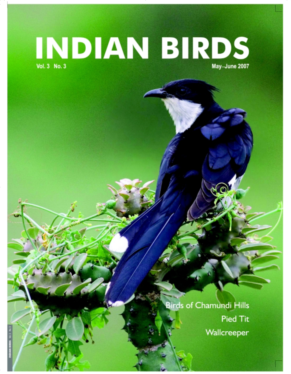 81 Indian Birds Vol. 3 No. 3 (May–June 2007)