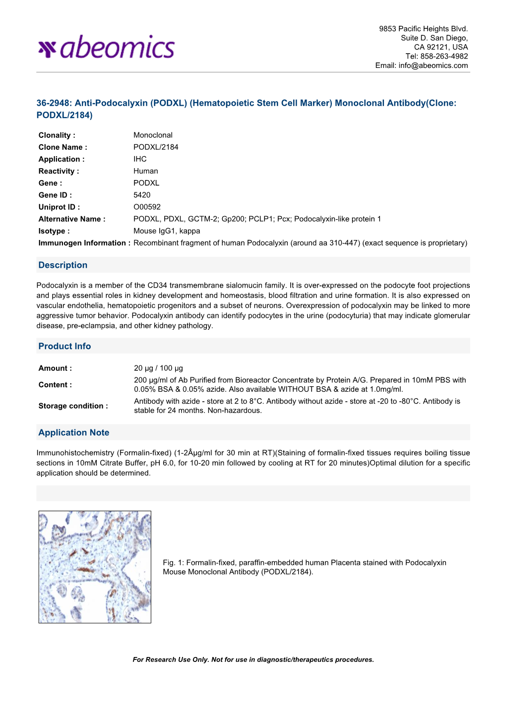 Monoclonal Antibody(Clone: PODXL/2184)