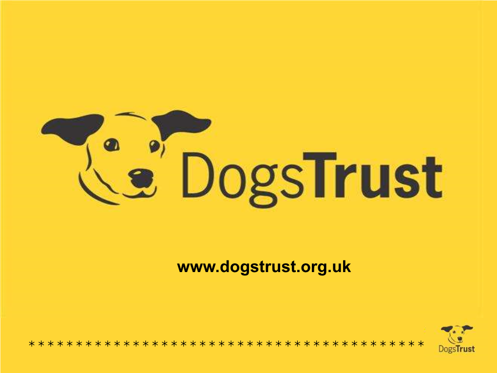 Dogs Trust Rehoming