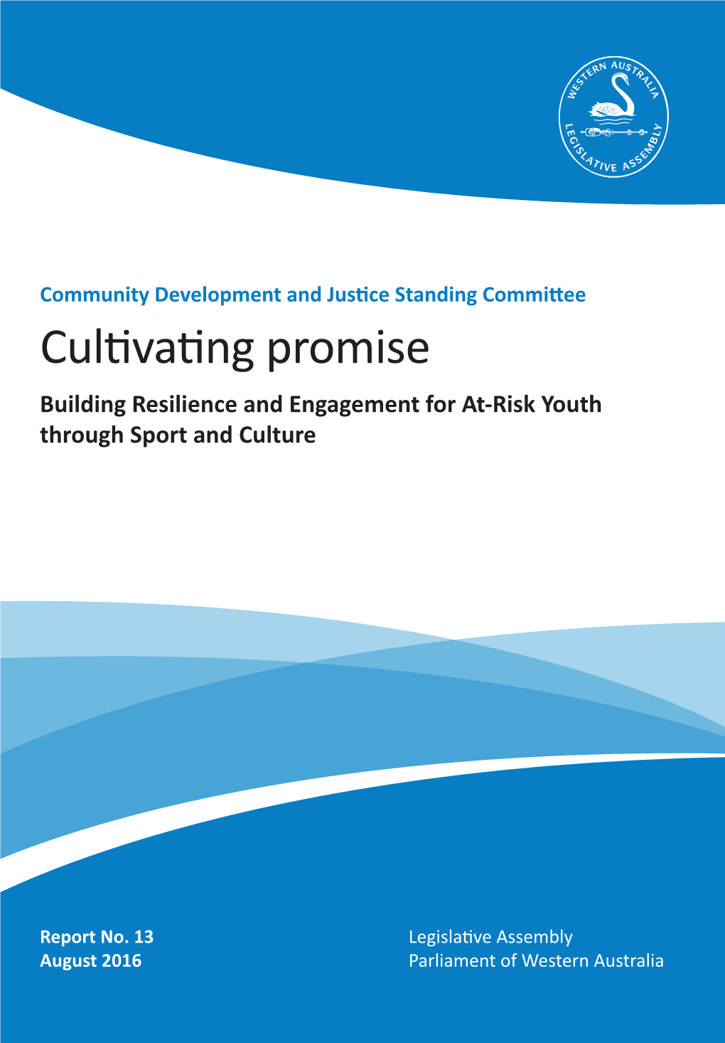 Cultivating Promise Building Resilience and Engagement for At-Risk Youth Through Sport and Culture