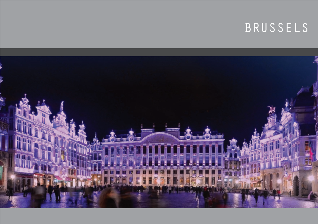 BRUSSELS Using Light to Create an Identity, Highlight Historic Heritage, Create a Sense of Well-Being, Improve Safety, Save Energy and Reduce the Carbon Footprint