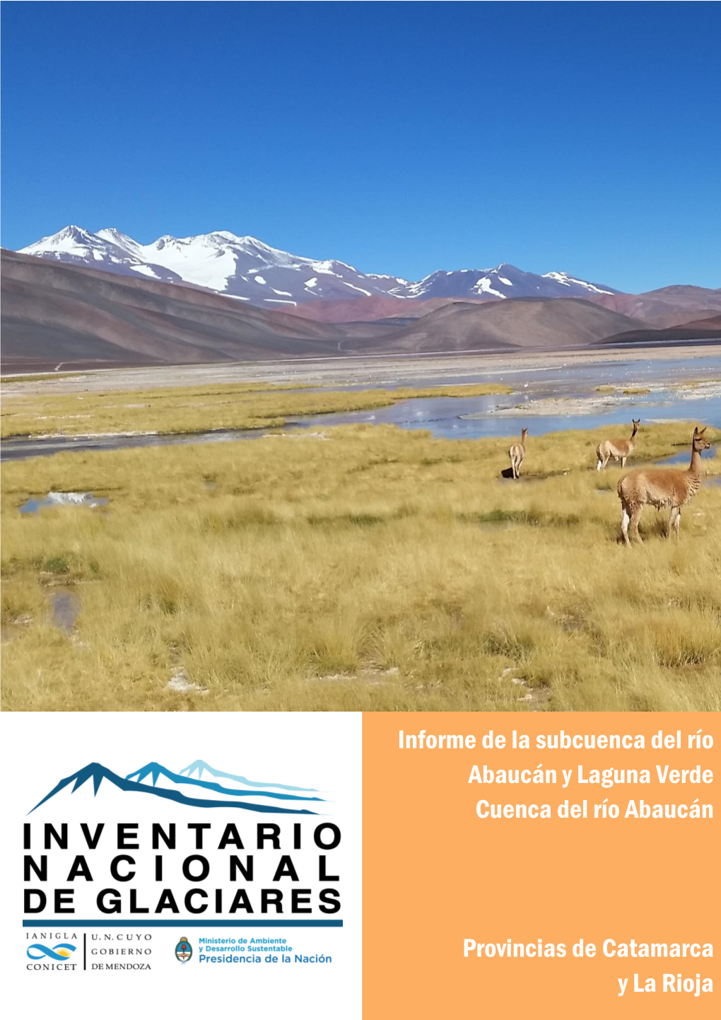 Informe De La Subcuenca Del Río Abaucán Y Laguna Verde Cuenca Del Río Abaucán