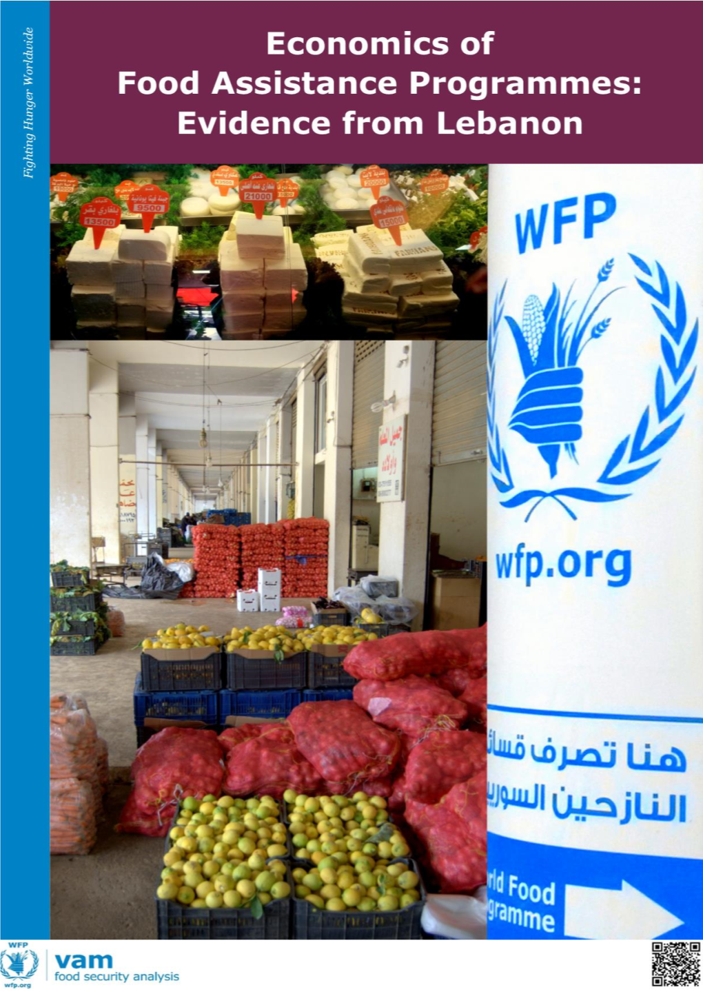 The Economics of Food Assistance Programmes: Evidence from Lebanon