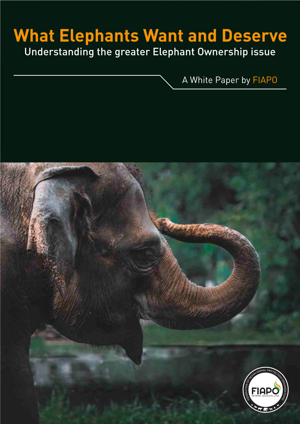 White Paper- Elephant Rights.Cdr