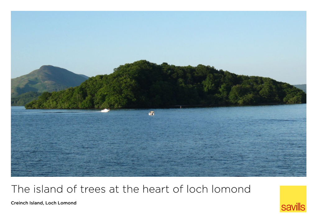The Island of Trees at the Heart of Loch Lomond