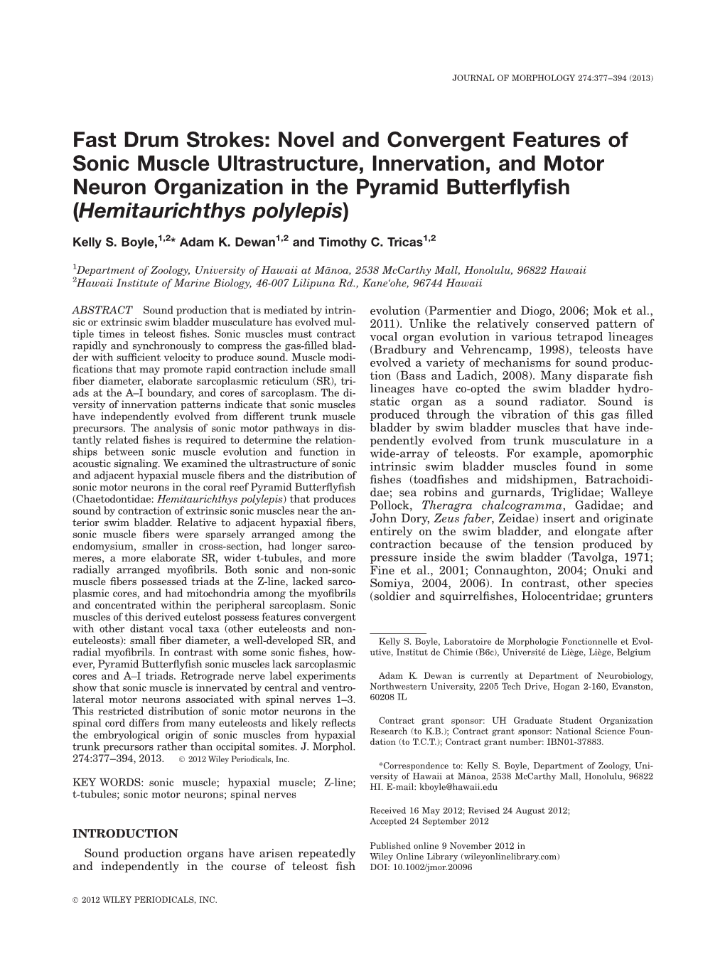 Novel and Convergent Features of Sonic Muscle Ultrastructure, Innervation, and Motor Neuron Organization in the Pyramid Butterﬂyﬁsh (Hemitaurichthys Polylepis)