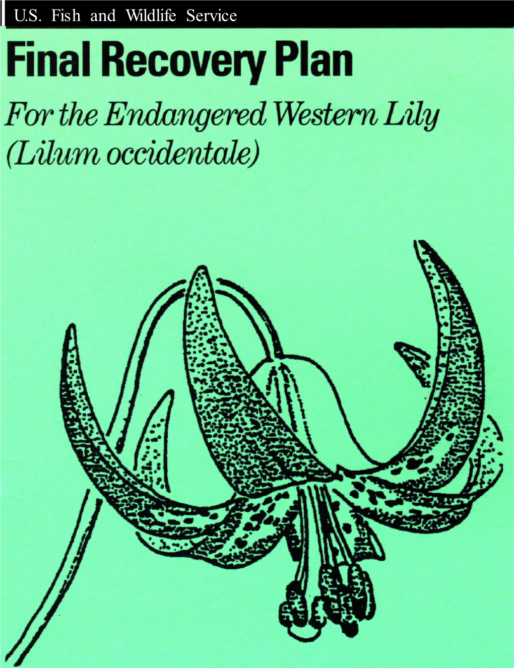 Recovery Plan for the Endangered Western Lily (Lilium Occidentale)
