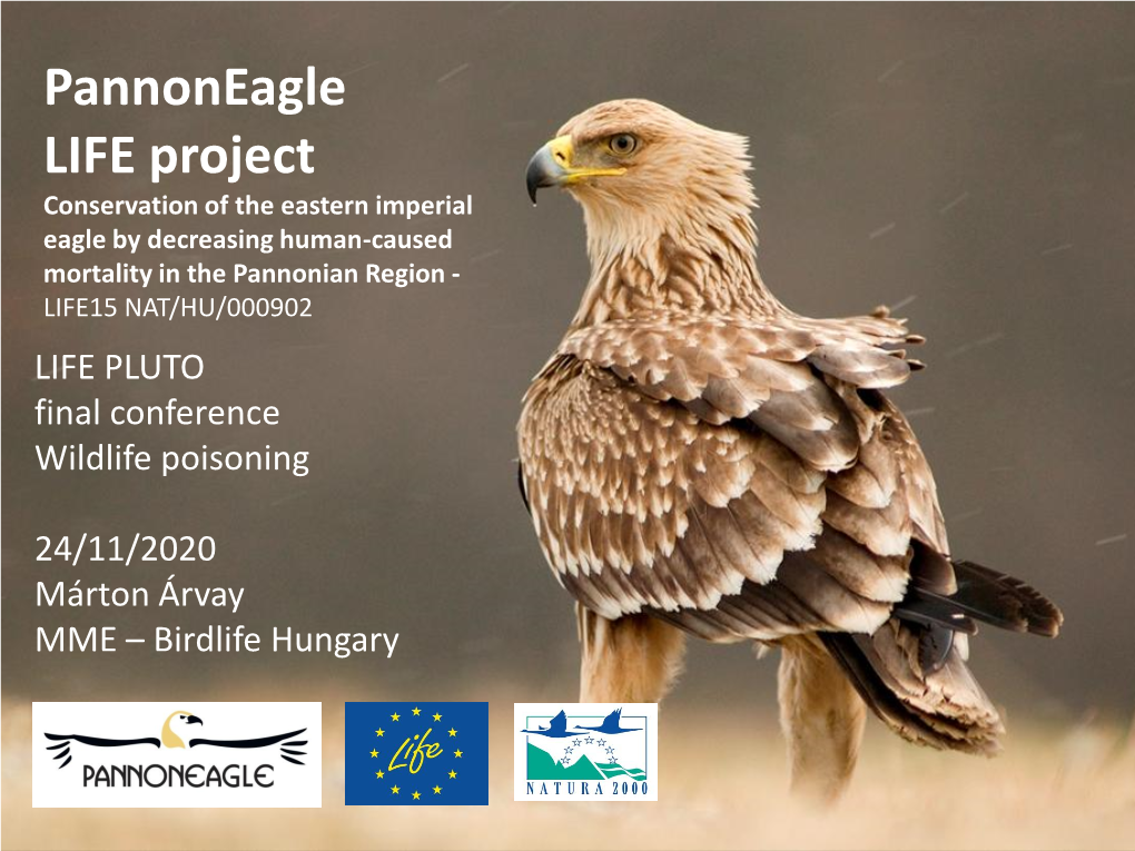 Pannoneagle LIFE Project Conservation of the Eastern Imperial Eagle by Decreasing Human-Caused Mortality in the Pannonian Region - LIFE15 NAT/HU/000902