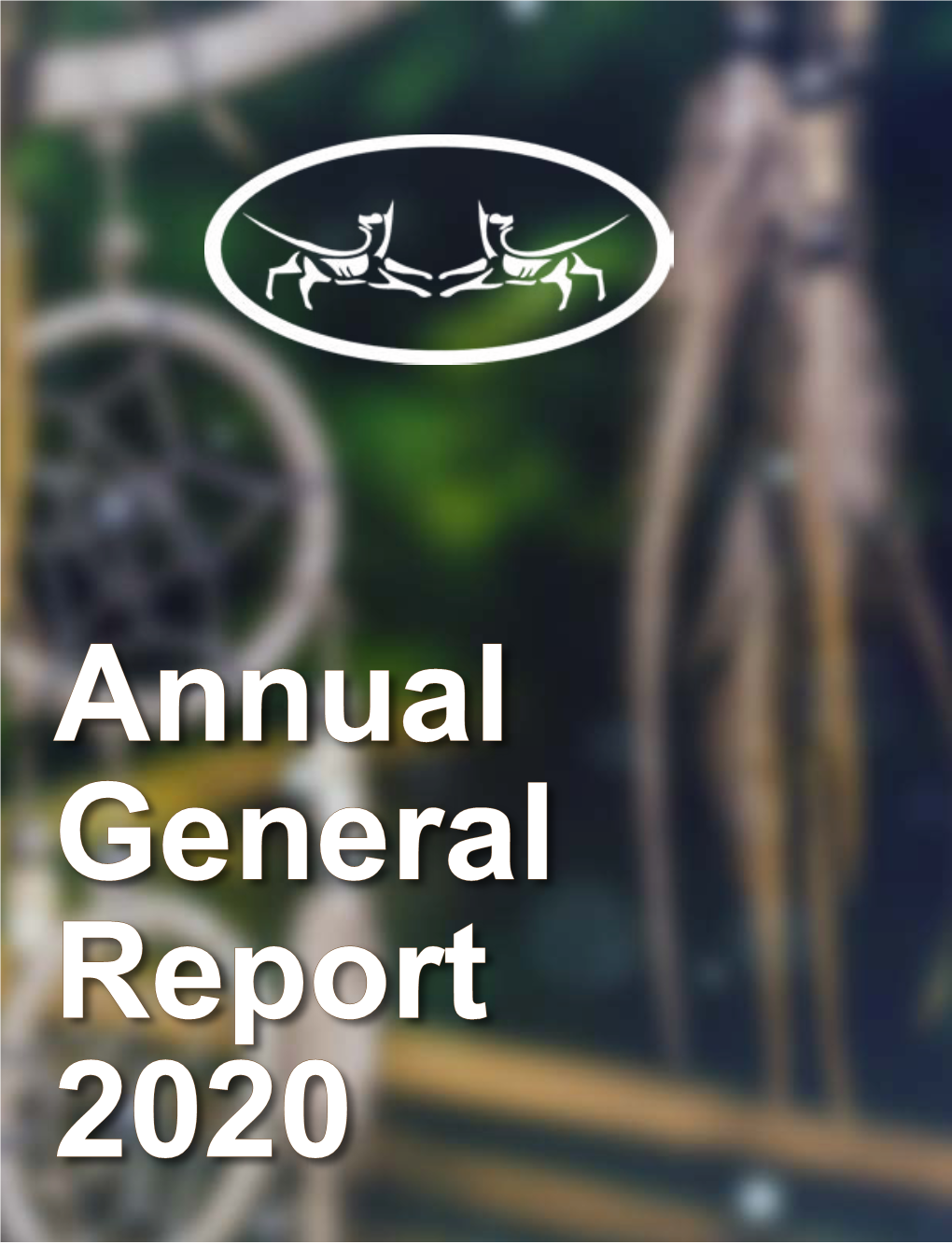 2020 2020 Annual General Report PENTICTON INDIAN BAND