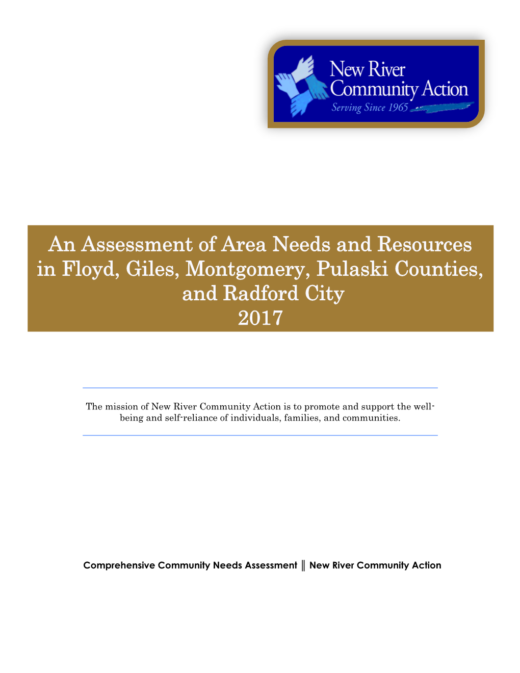 An Assessment of Area Needs and Resources in Floyd, Giles, Montgomery, Pulaski Counties