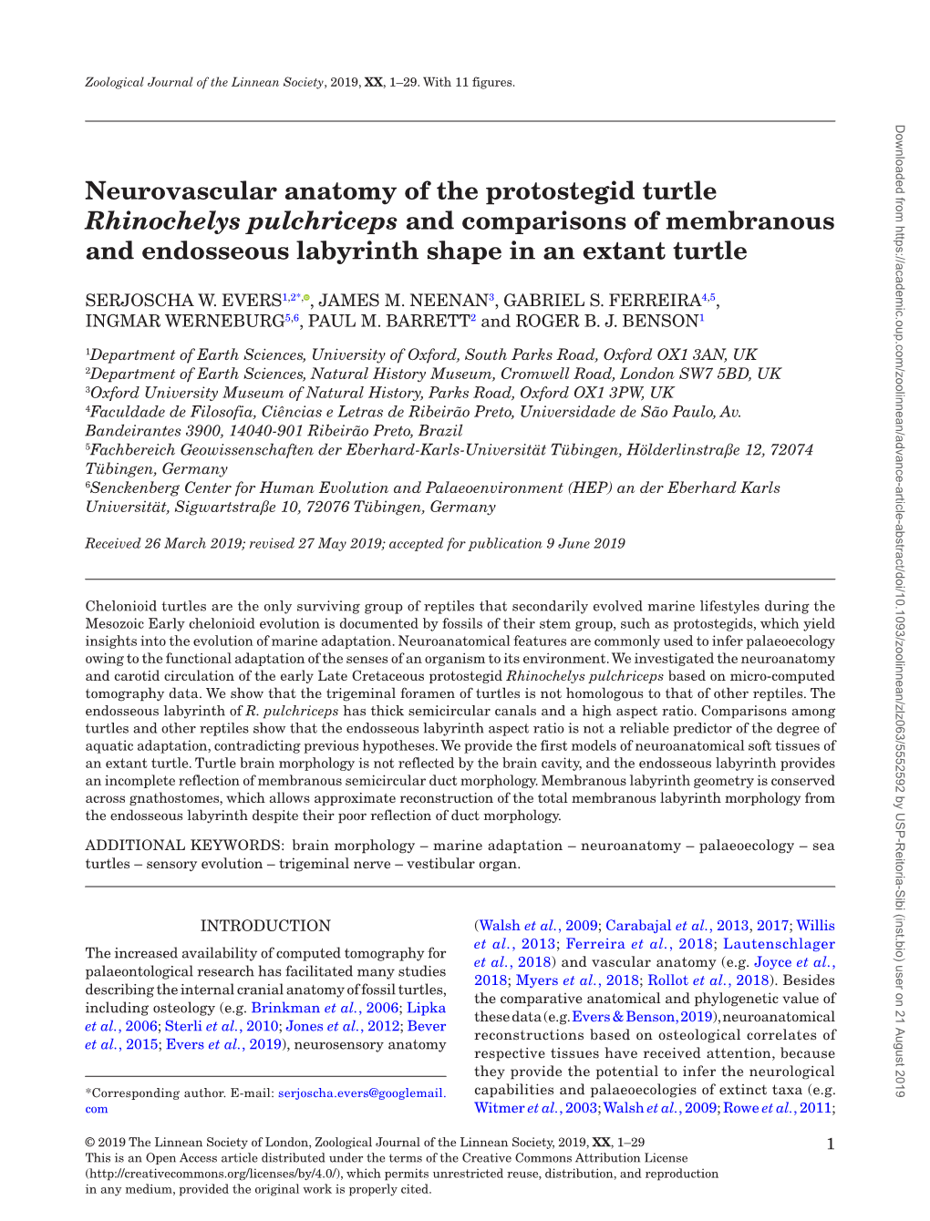 Neurovascular Anatomy of the Protostegid Turtle Rhinochelys Pulchriceps and Comparisons of Membranous and Endosseous Labyrinth Shape in an Extant Turtle