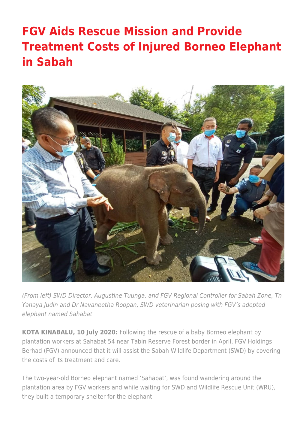 FGV Aids Rescue Mission and Provide Treatment Costs of Injured Borneo Elephant in Sabah