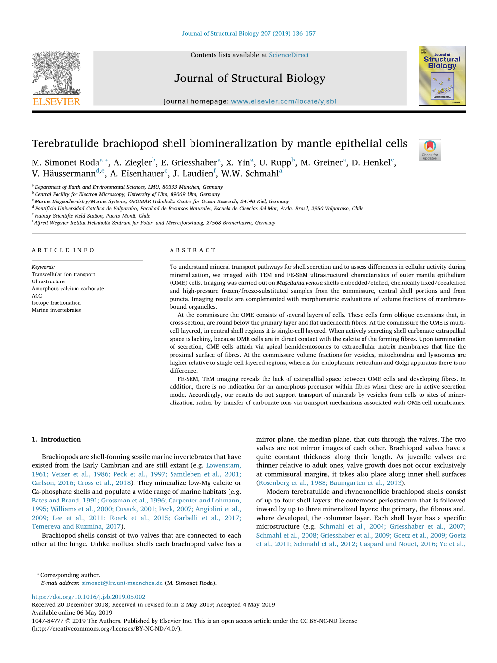Terebratulide Brachiopod Shell Biomineralization by Mantle Epithelial Cells T ⁎ M