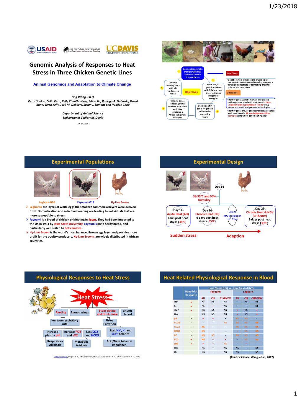 Genomic Analysis of Responses to Heat Stress in Three Chicken