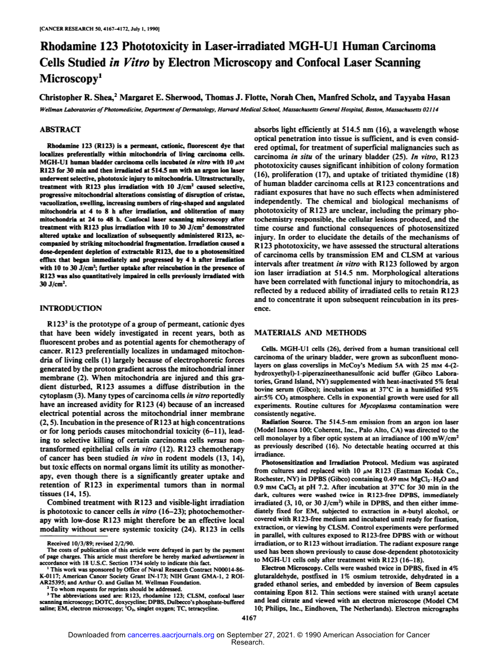 Rhodamine 123 Phototoxicity in Laser-Irradiated MGH-U1 Human Carcinoma Cells Studied in Vitro by Electron Microscopy and Confocal Laser Scanning Microscopy1