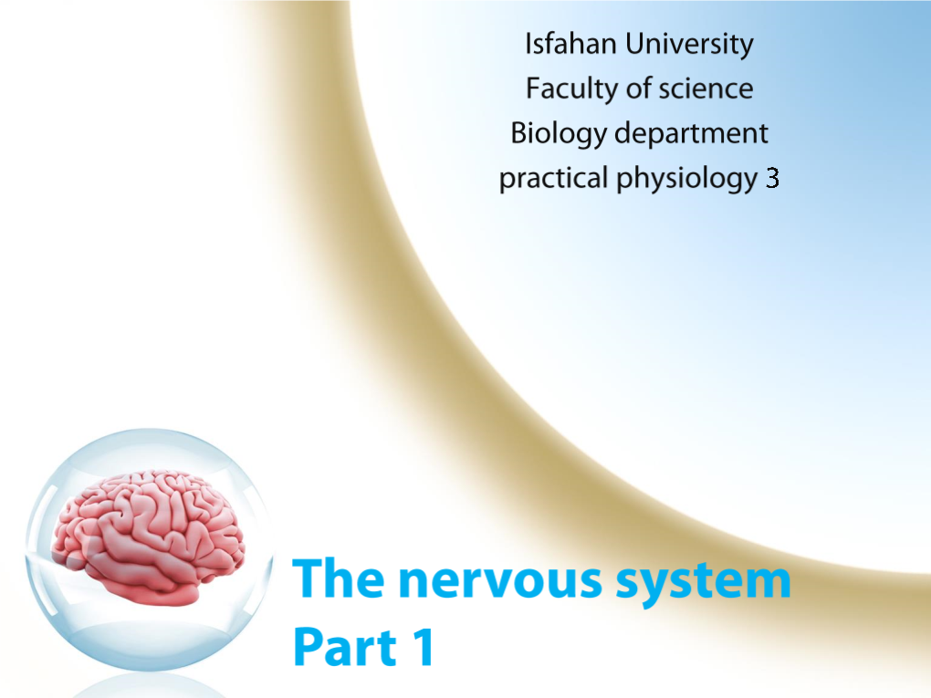 An Introduction to Nervous System