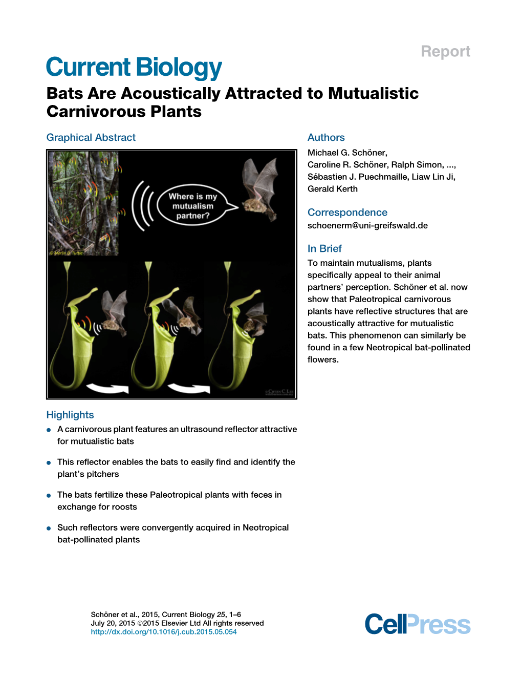 Bats Are Acoustically Attracted to Mutualistic Carnivorous Plants