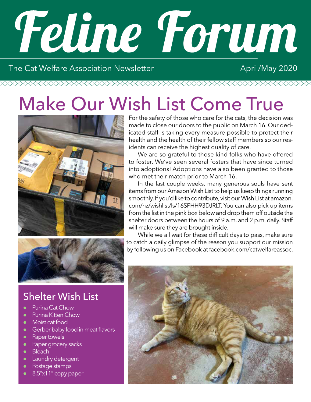 April 2020 Feline Forum