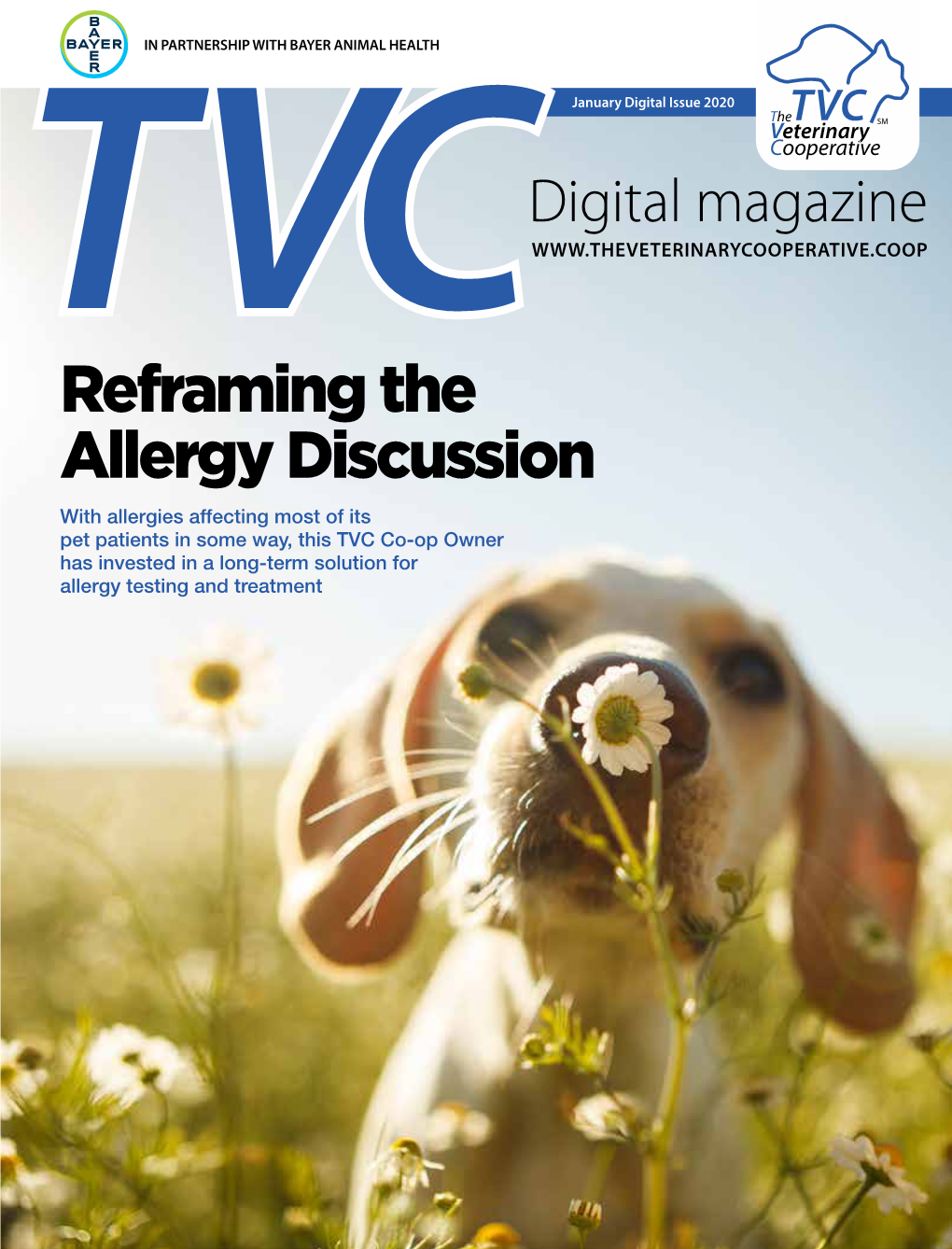 Reframing the Allergy Discussion