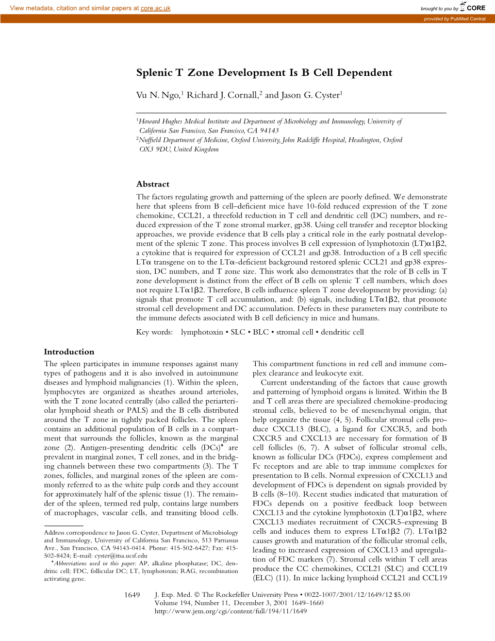 Splenic T Zone Development Is B Cell Dependent