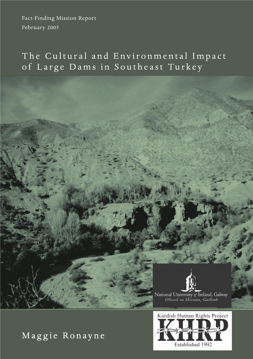 The Cultural and Environmental Impact of Large Dams in Southeast Turkey