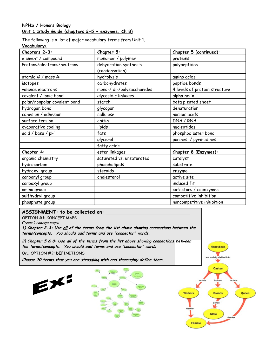 Chapter 5: Proteins and Nucleic Acids