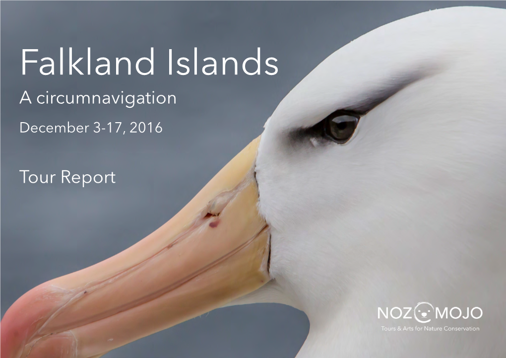 Falkland Islands a Circumnavigation December 3-17, 2016
