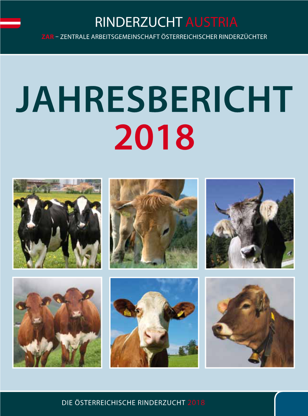 Zar-Jahresbericht 2018