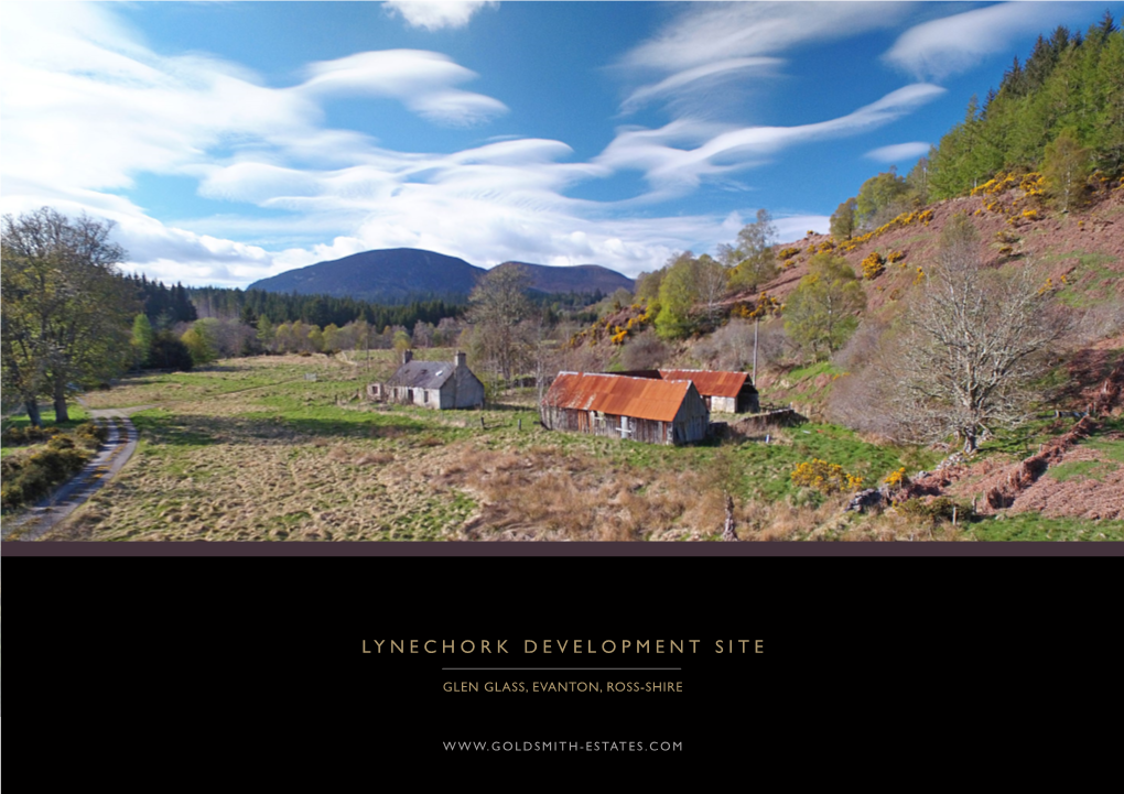 Lynechork Development Site