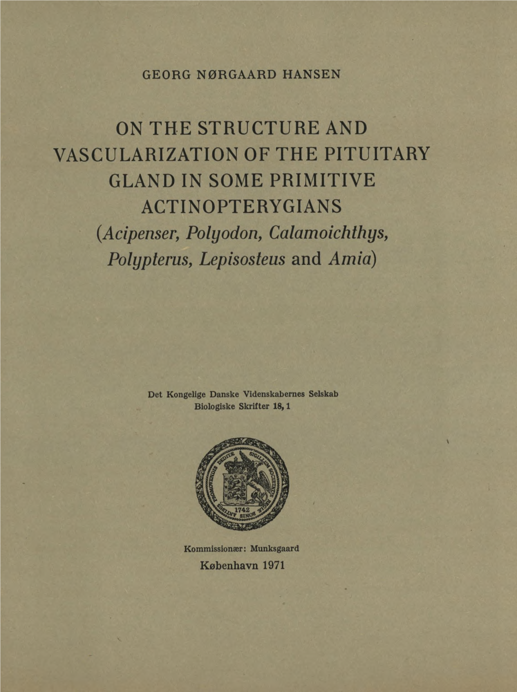 ON the STRUCTURE and VASCULARIZATION of the PITUITARY GLAND in SOME PRIMITIVE ACTINOPTERYGIANS (Acipenser, Polyodon, Calamoichthys, Polypterus, Lepisosteus and Amia)