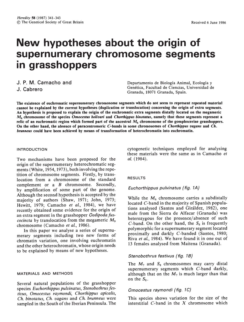 New Hypotheses About the Origin of Supernumerary Chromosome Segments in Grasshoppers