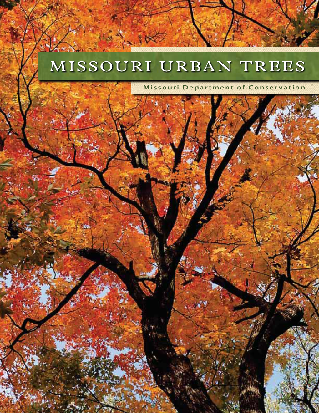 Missouri Urban Trees