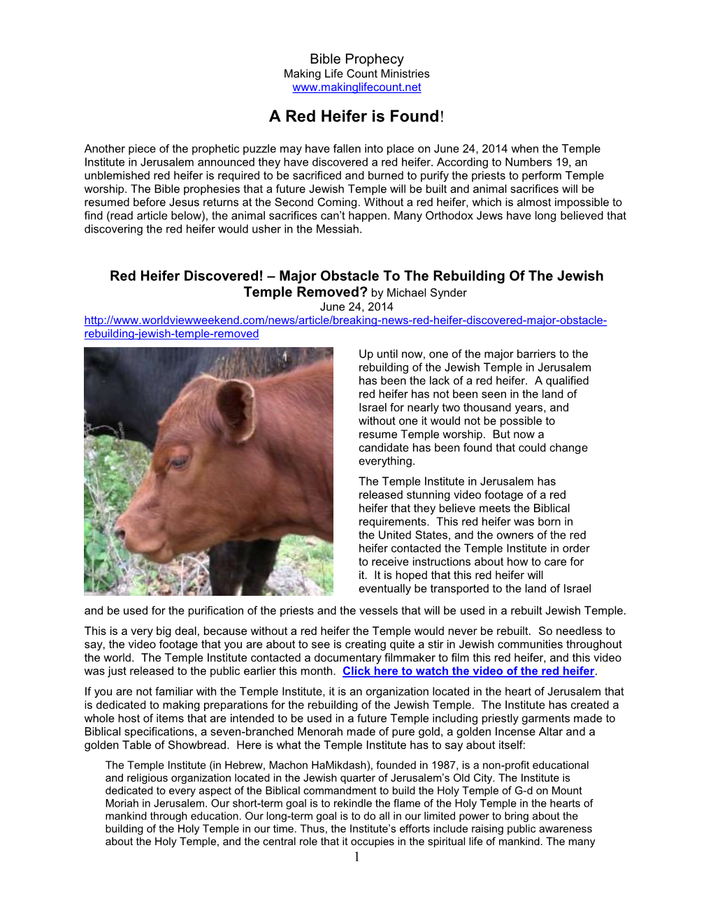 A Red Heifer Is Found!