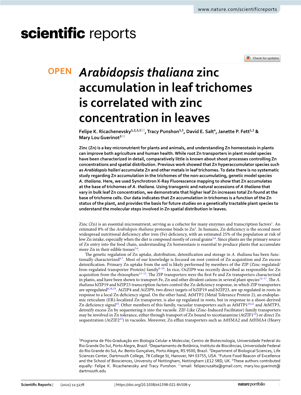 Arabidopsis Thaliana Zinc Accumulation in Leaf Trichomes Is Correlated with Zinc Concentration in Leaves Felipe K