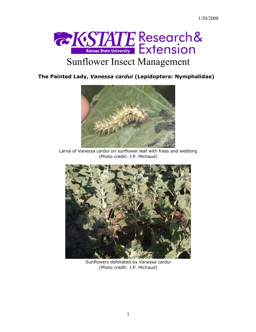 Sunflower Insect Management