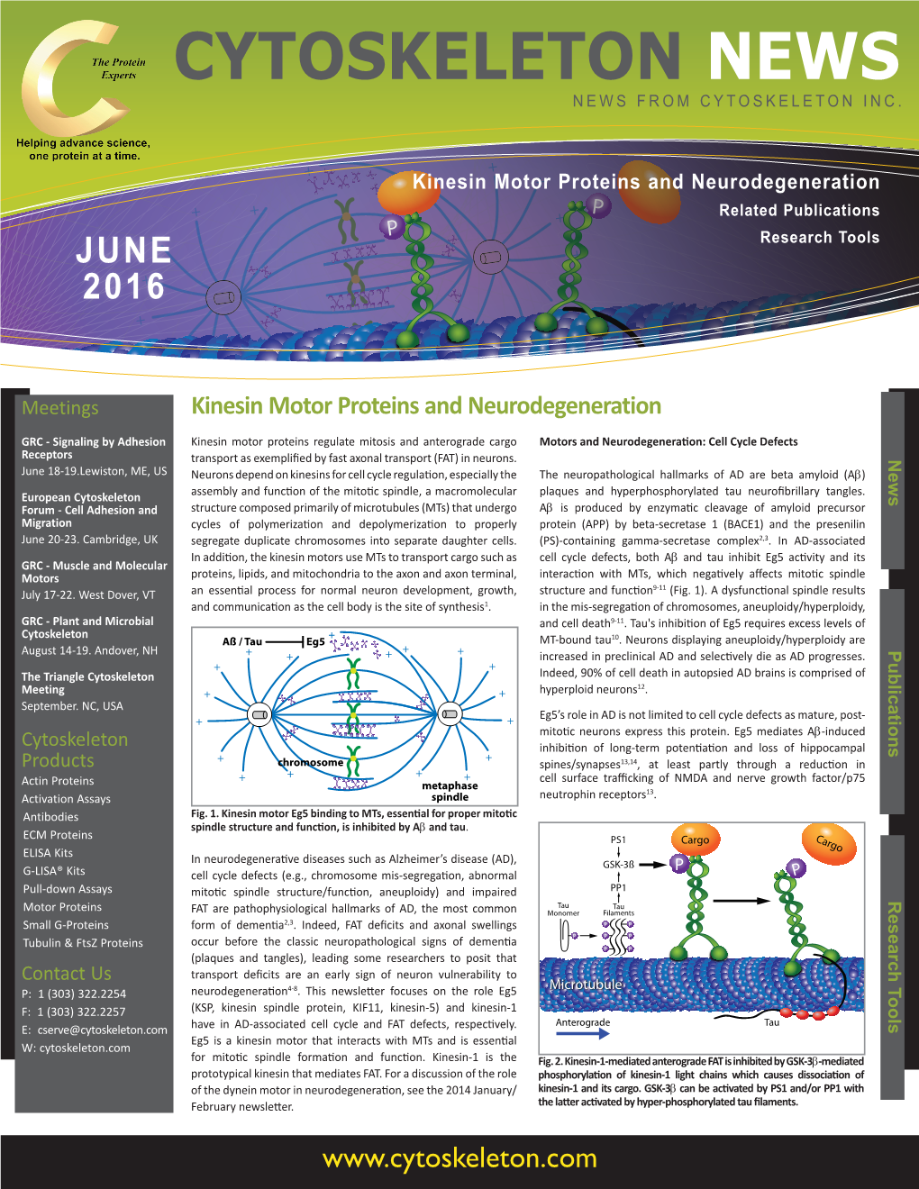 Kinesin Motor Proteins and Neurodegeneration