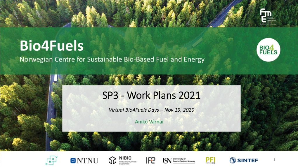 SP3 - Work Plans 2021