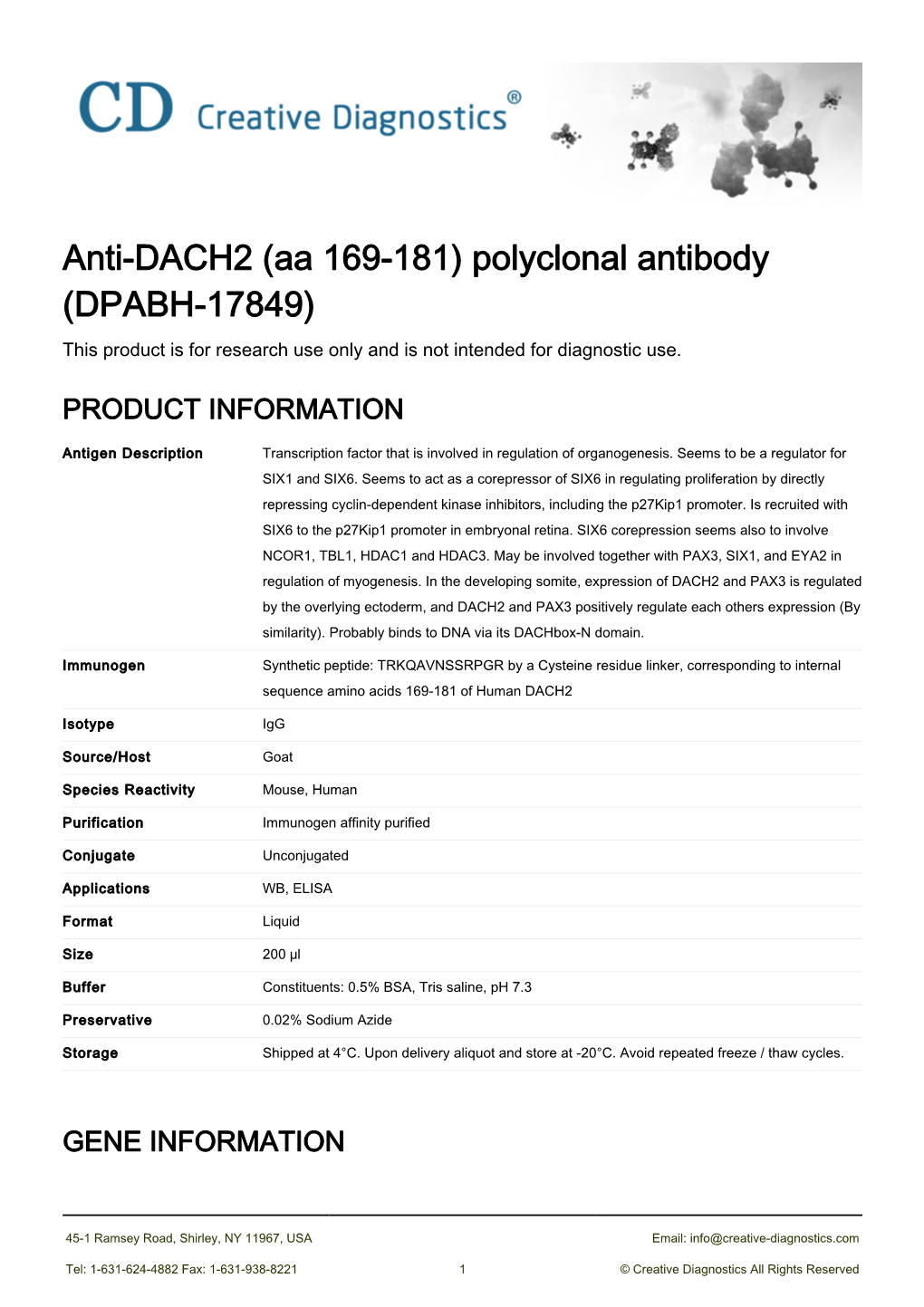Anti-DACH2 (Aa 169-181) Polyclonal Antibody (DPABH-17849) This Product Is for Research Use Only and Is Not Intended for Diagnostic Use