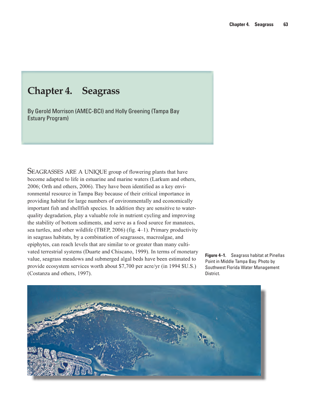 Chapter 4. Seagrass 63